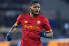 maitland niles roma