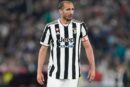 Giorgio Chiellini Juventus