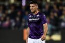 jovic fiorentina