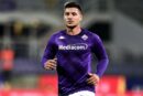 jovic fiorentina