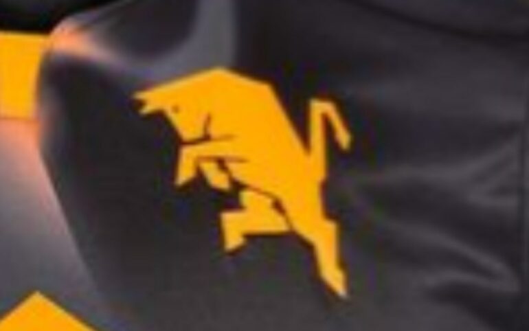 maglia torino