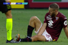 vlasic torino