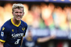 doig verona