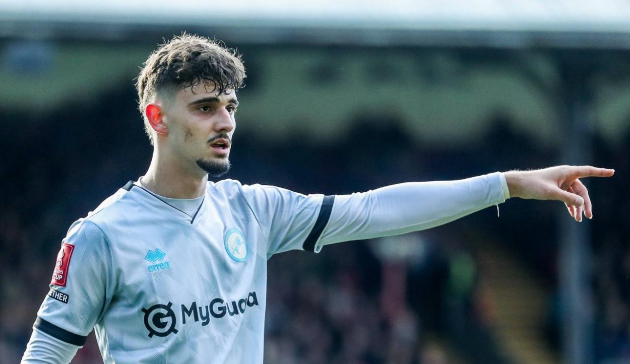 Il Parma punta Ivanovic del Millwall: alla scoperta dell'attaccante serbo, ipotizzando una possibile gestione al fantacalcio