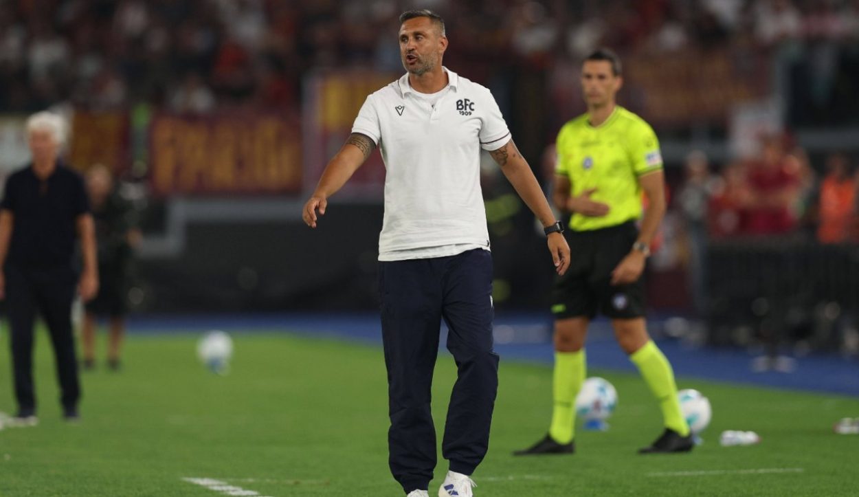 Niccolini post Bologna Torino